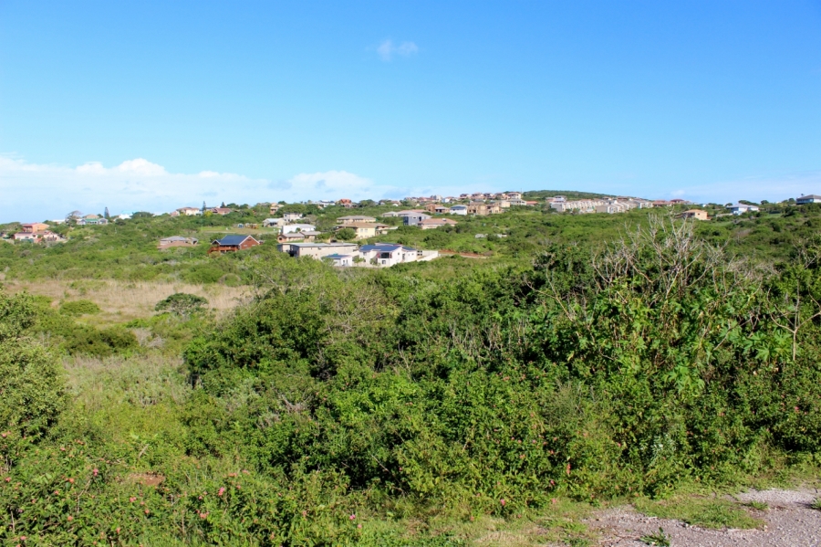 0 Bedroom Property for Sale in Forest Downs Eastern Cape